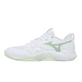 (女)【美津濃MIZUNO】Wave Momentum Pro 羽排鞋-白淺綠 V1GC254085