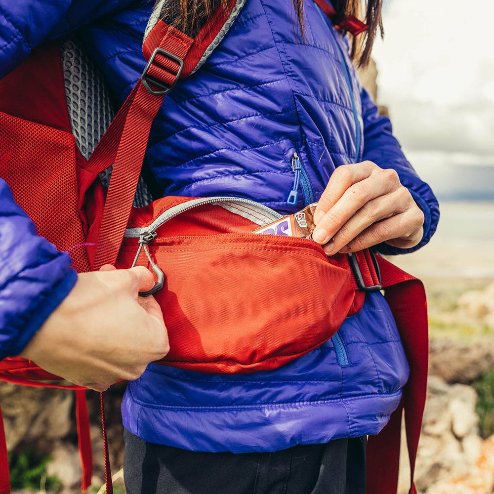 GREGORY AMBER 55 專業登山背包-火鶴紅 GG126869T430