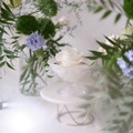 維納斯全家福_2