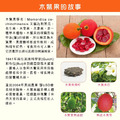 【瑞康】木鱉果酵素 280ml (瓶)_2