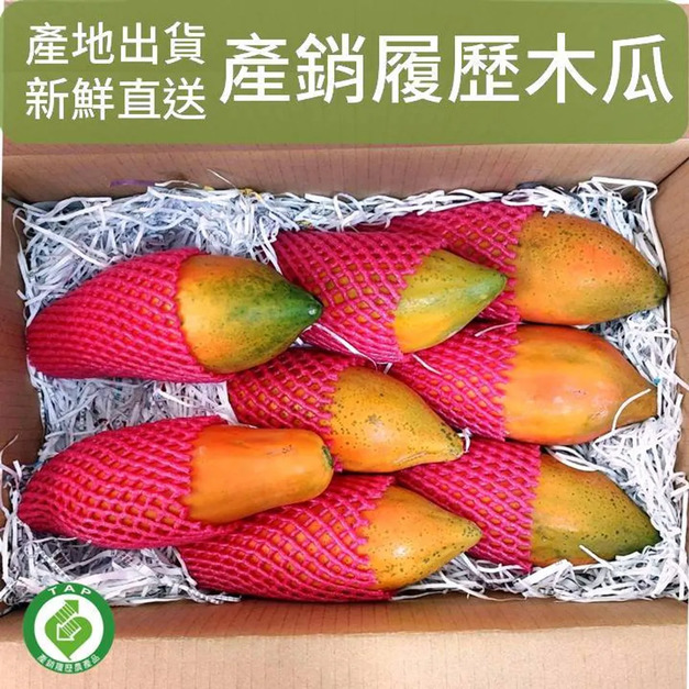 【大內環湖木瓜-產地直送】產銷履歷木瓜6公斤裝(2種規格)(此商品不列入免運累計金額)