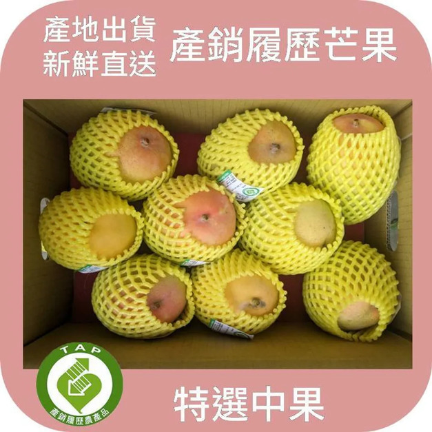 【玉井芒果-產地直送】產銷履歷凱特芒果-大果/中果(此商品不列入免運累計金額)