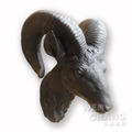 [出清]動物立體壁掛 牆面藝術 啾咪山羊頭 黑白兩色 HA010《出清品 不接受退換貨》_2
