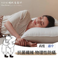 經典枕 50x75cm_1