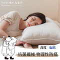 經典枕 50x75cm_2