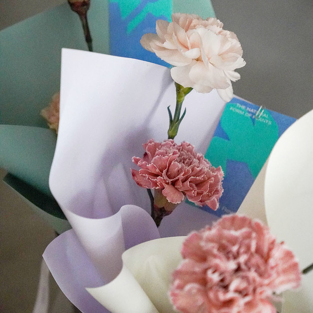 美國進口康乃馨-雙色小花束