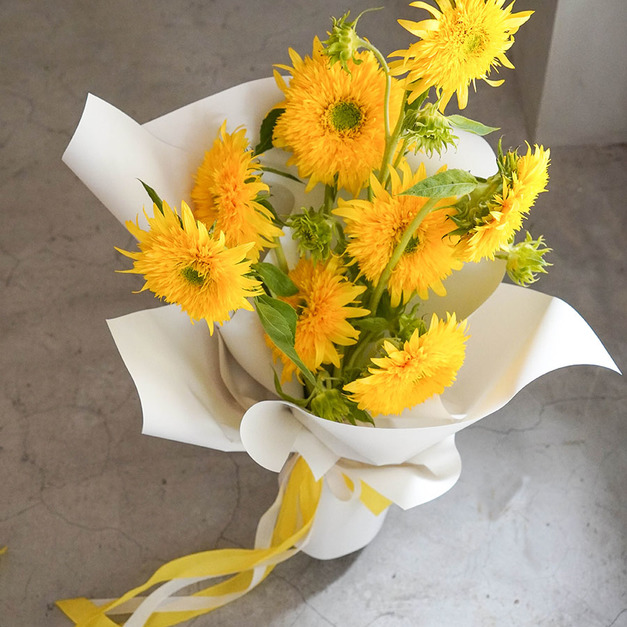 梵谷向日葵(泰迪熊向日葵)花束