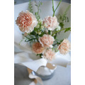 鮮花花束carnations!-美國進口康乃馨_2