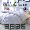 100%水鳥天然羽毛被