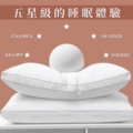 五星級酒店枕 買一送一 2入999元_1