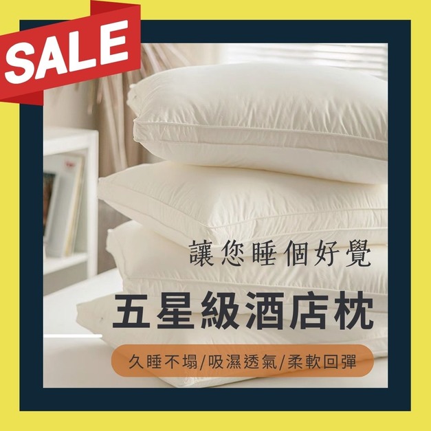 五星級酒店枕 買一送一 2入999元