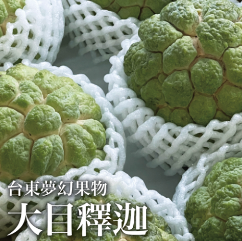 十翼饌