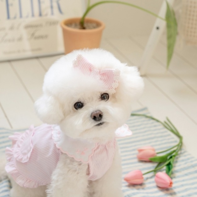 ꔚMarie&Dingo 條紋蝴蝶結刺繡連衣裙(可加購頭飾)