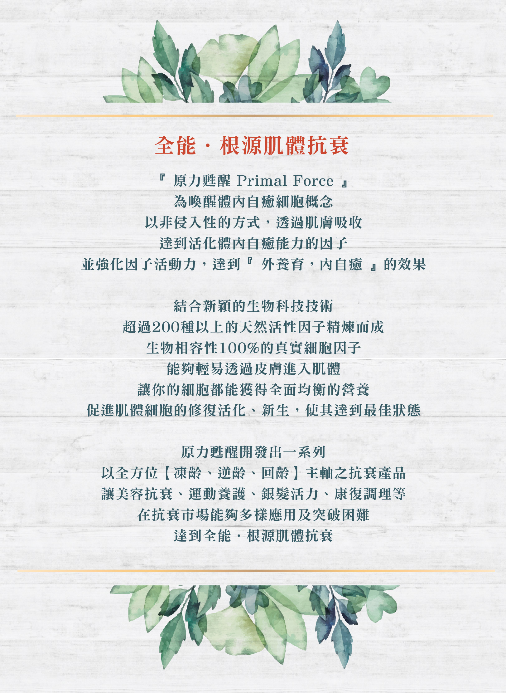 品牌故事 原力甦醒