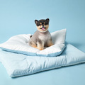 arrr 寵物涼感被墊L_1