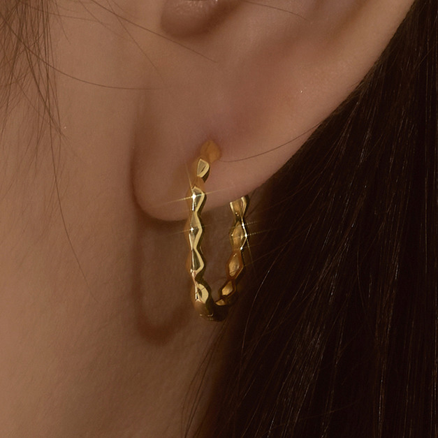 Wing Bling 14k 復古圈式耳環