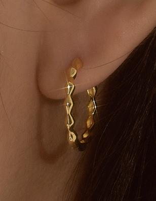 Wing Bling 14k 復古圈式耳環_1