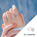 Wing Bling 冰河的眼淚 戒指_1