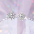 Wing Bling 雪花紛飛耳環/耳夾