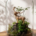 【友植 Plant Buddy】森鹿之境｜純淨玻璃鐘罩微景觀生態缸（微景缸）_1