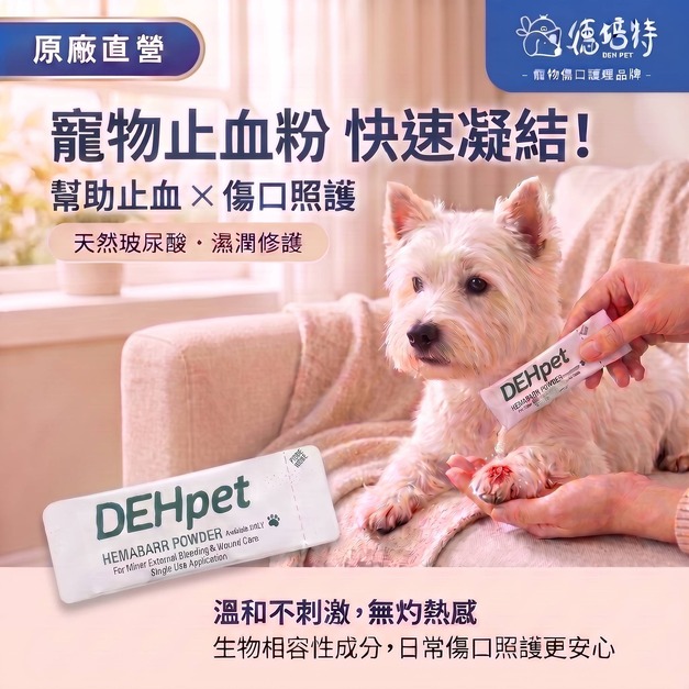 創傷止血粉 1入 (散裝出貨，無外盒)