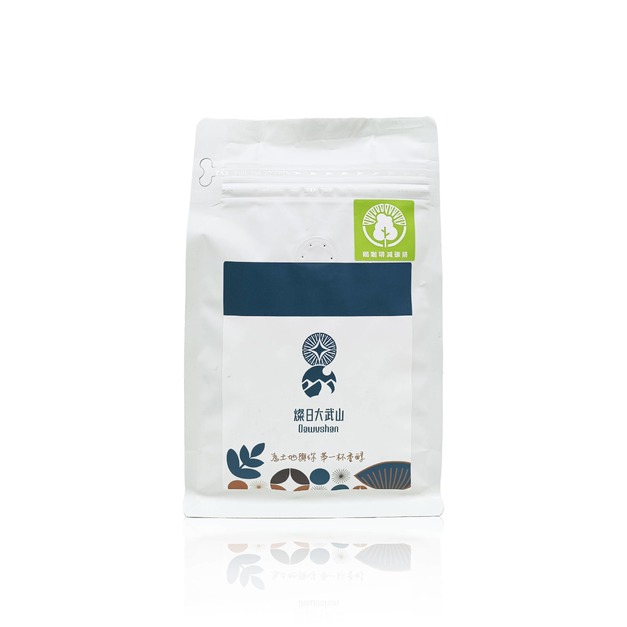 燦日大武山_水洗處理法1/2磅咖啡豆