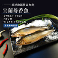 產地直送-宜蘭母香魚