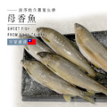 產地直送-宜蘭母香魚_1