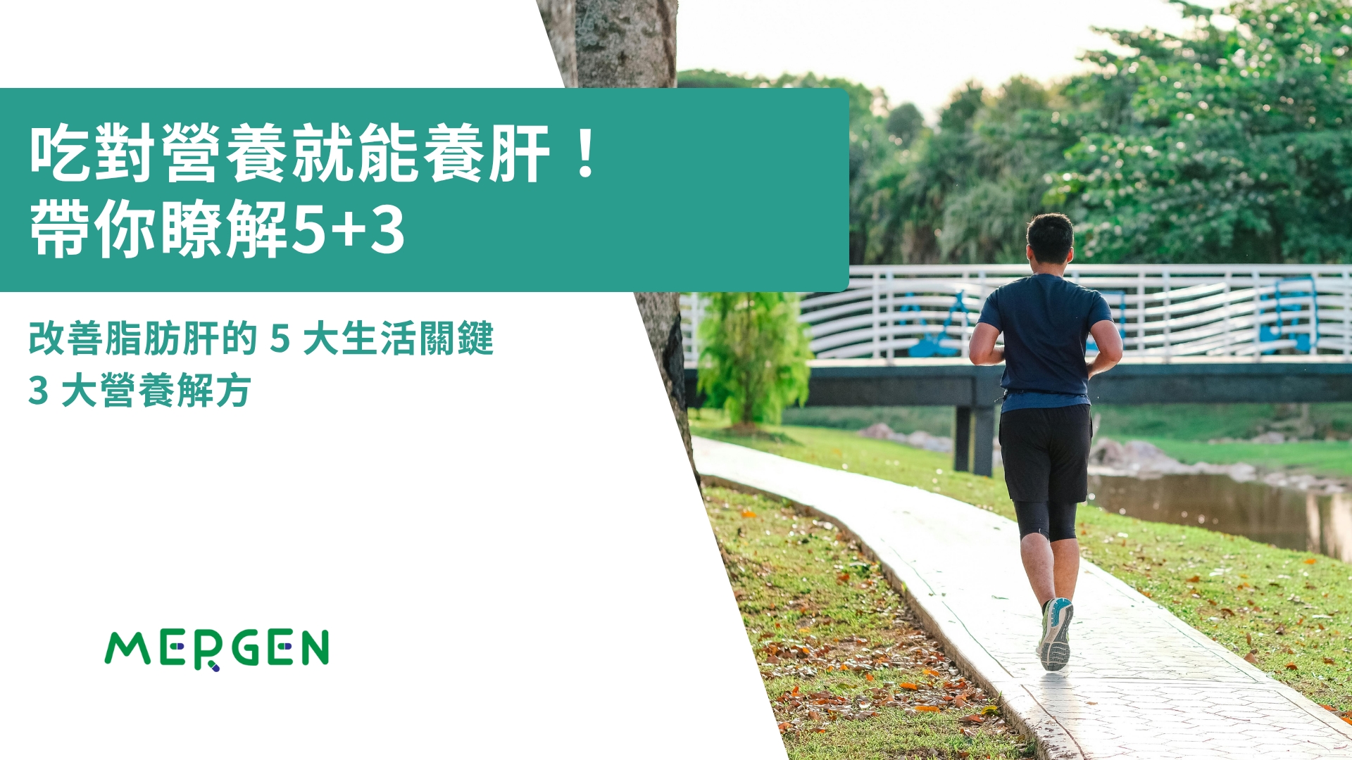 吃對營養就能養肝！改善脂肪肝的 5 大生活關鍵與 3 大營養解方