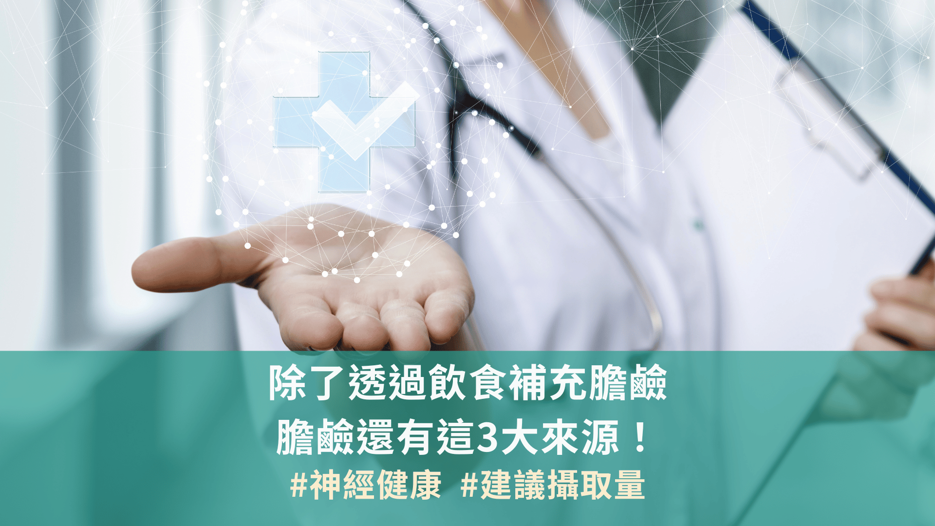 除了透過飲食補充膽鹼，膽鹼還有這3大來源！