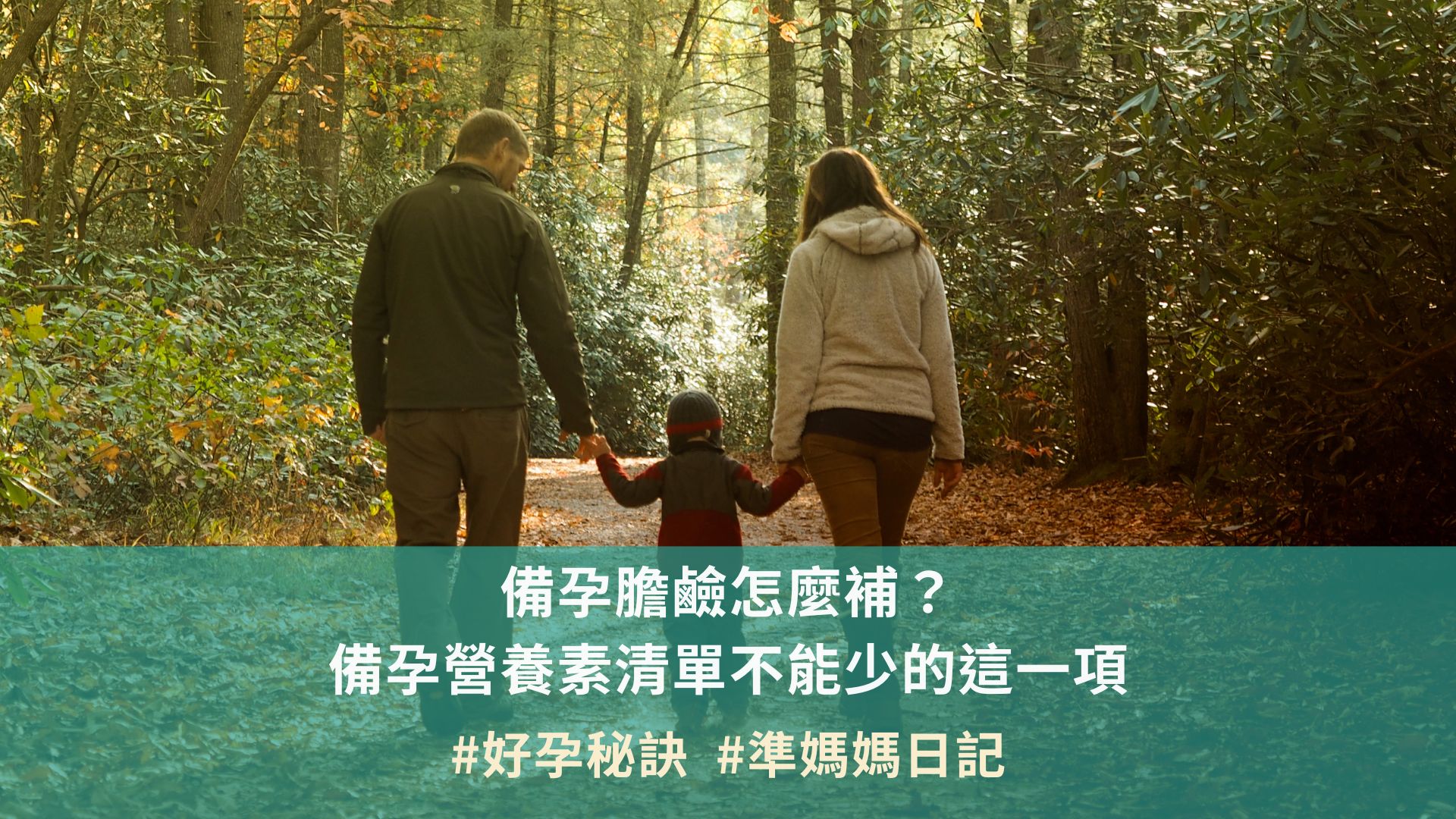 備孕膽鹼怎麼補？備孕營養素清單不能少的這一項