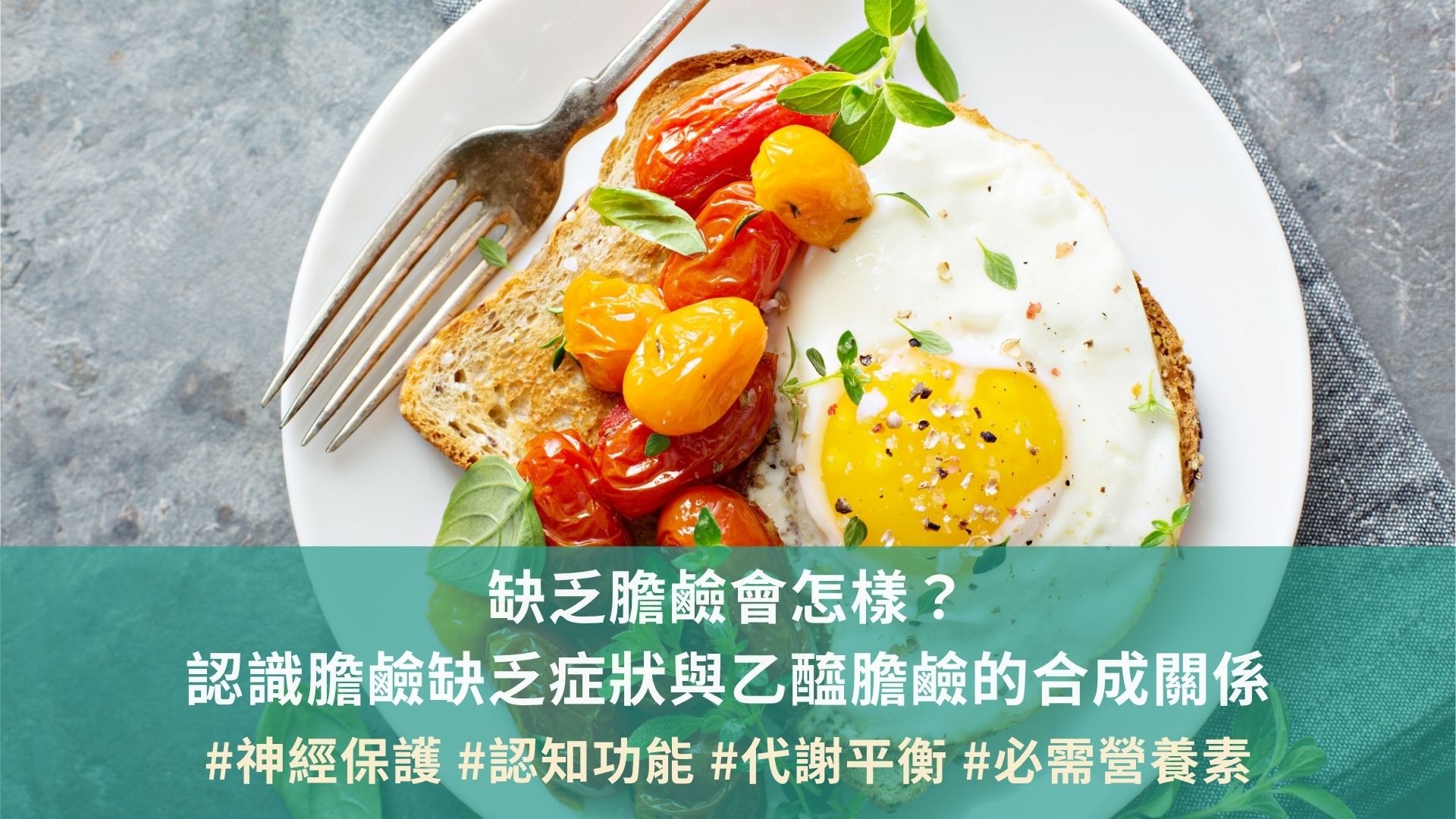 缺乏膽鹼會怎樣？認識膽鹼缺乏症狀與乙醯膽鹼的合成關係