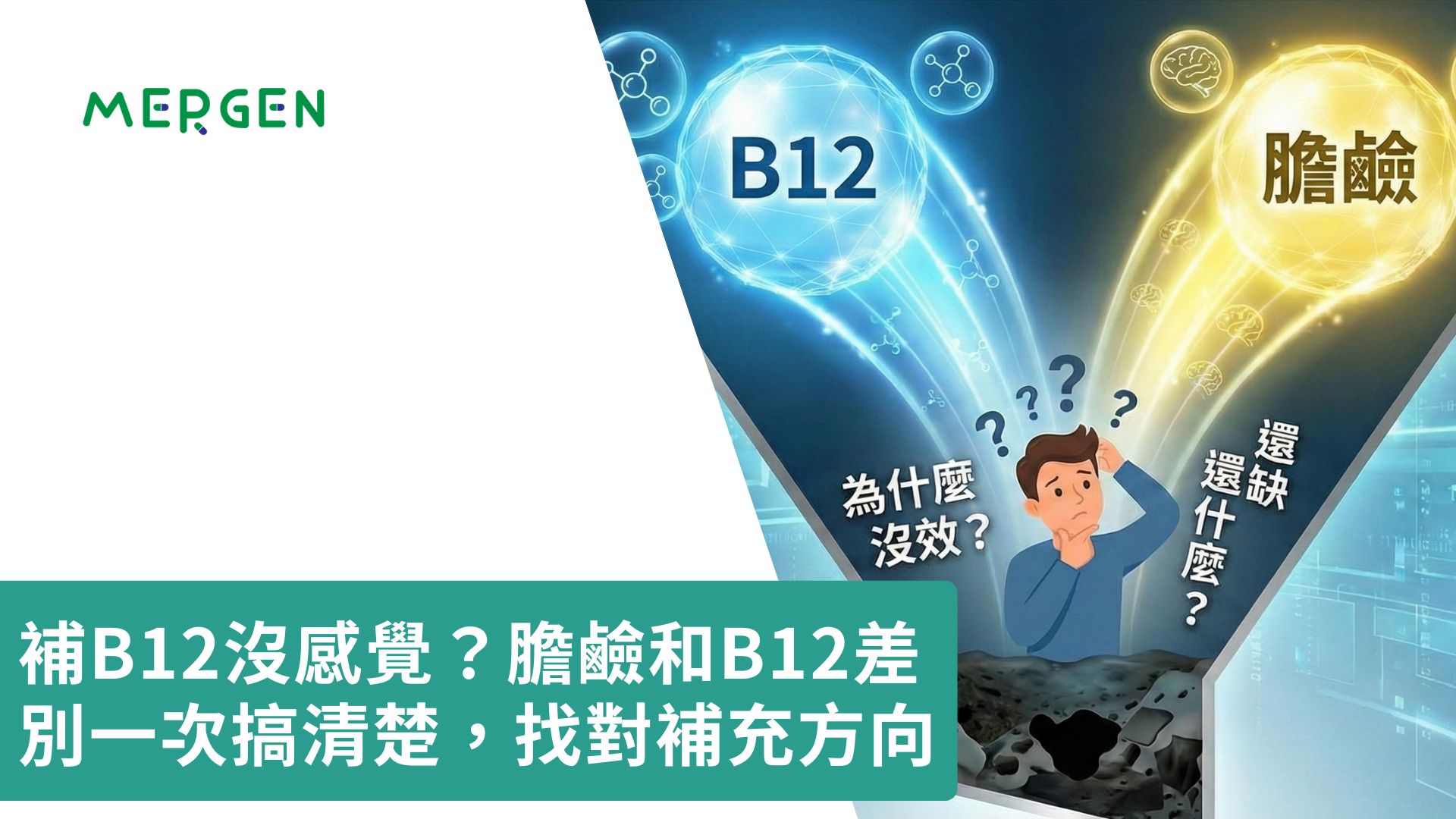 補B12沒感覺？膽鹼和B12差別一次搞清楚，找對補充方向
