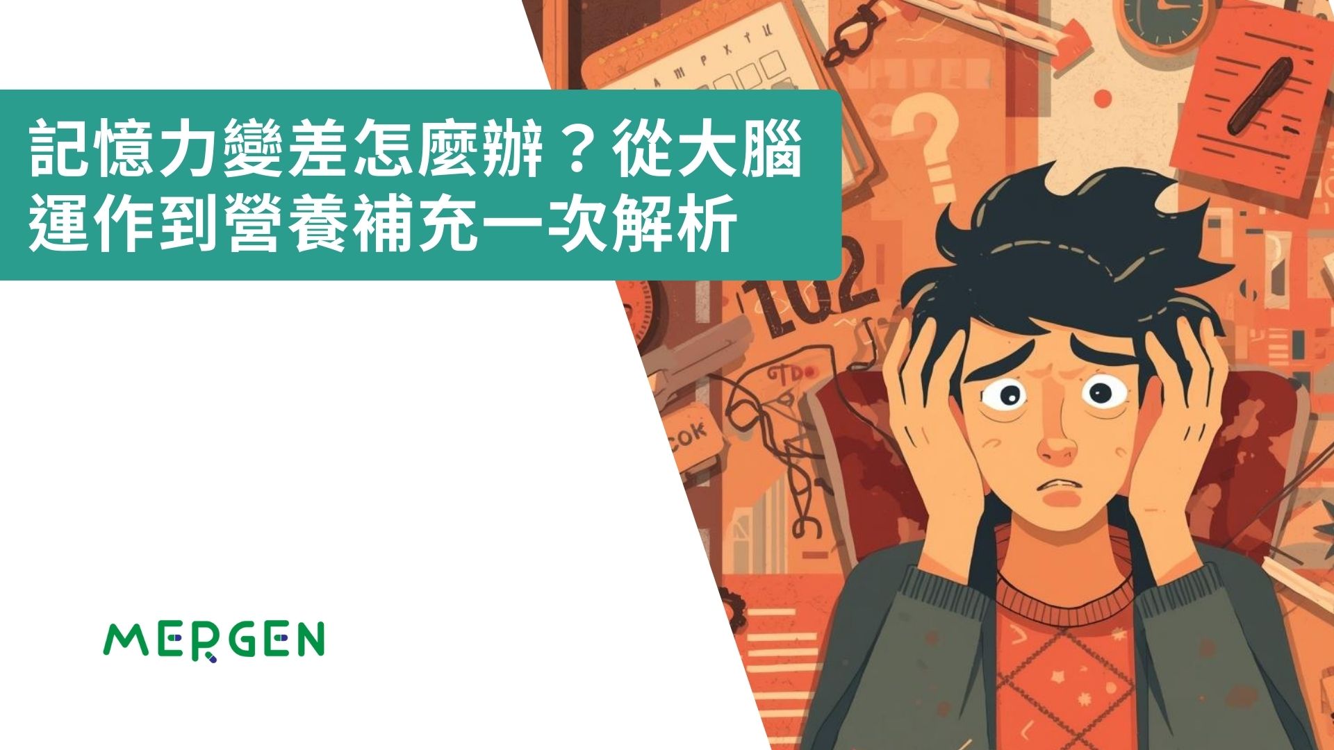 記憶力變差怎麼辦？從大腦運作到營養補充一次解析