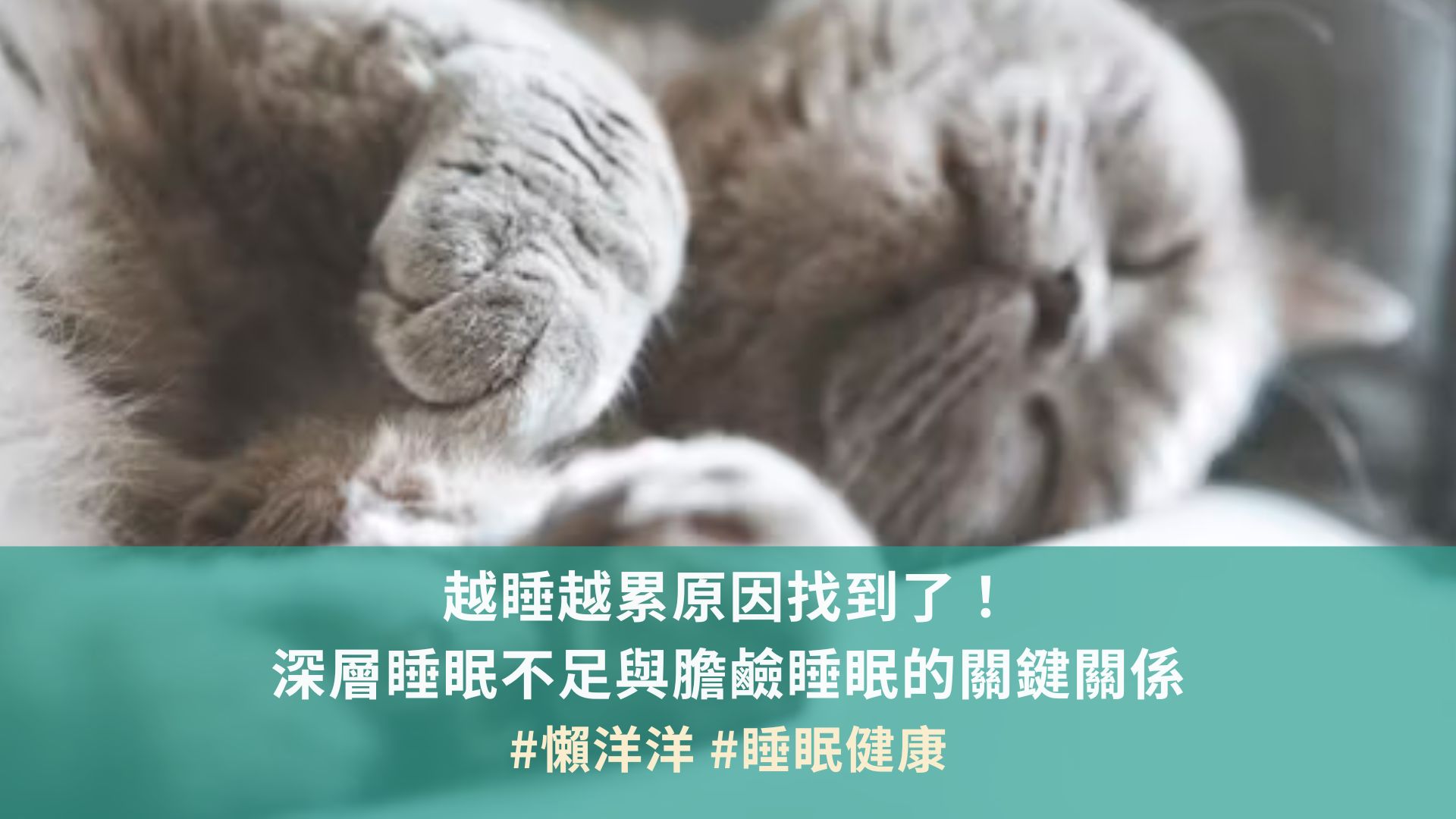 越睡越累原因找到了！深層睡眠不足與膽鹼睡眠的關鍵關係