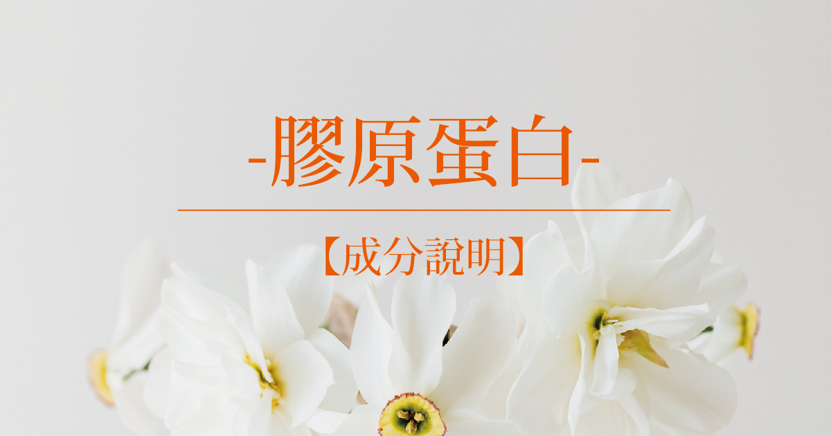 【成分說明】膠原蛋白