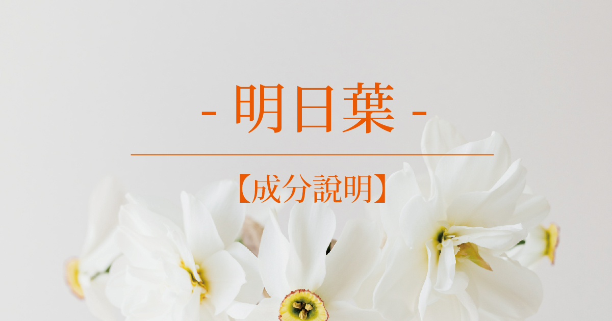 【成分說明】明日葉