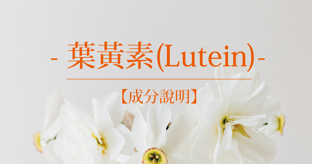 【成分說明】葉黃素(Lutein)