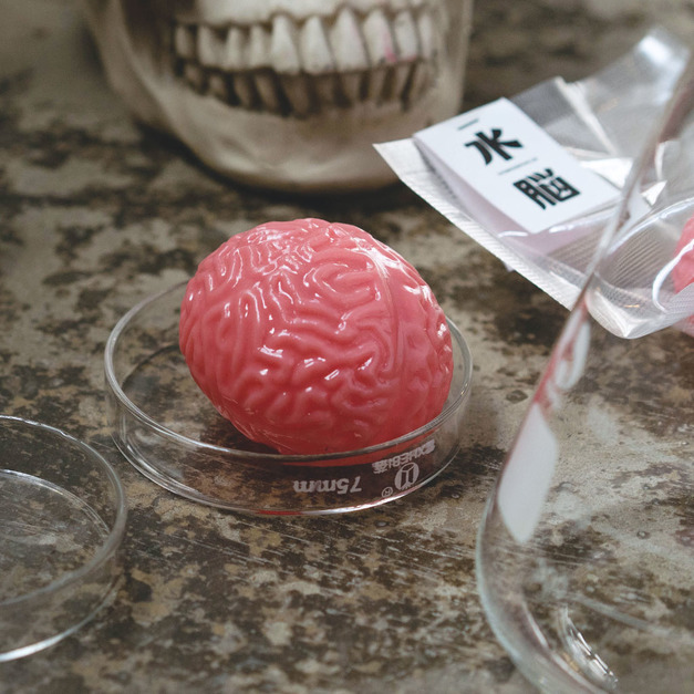 水腦舒壓球