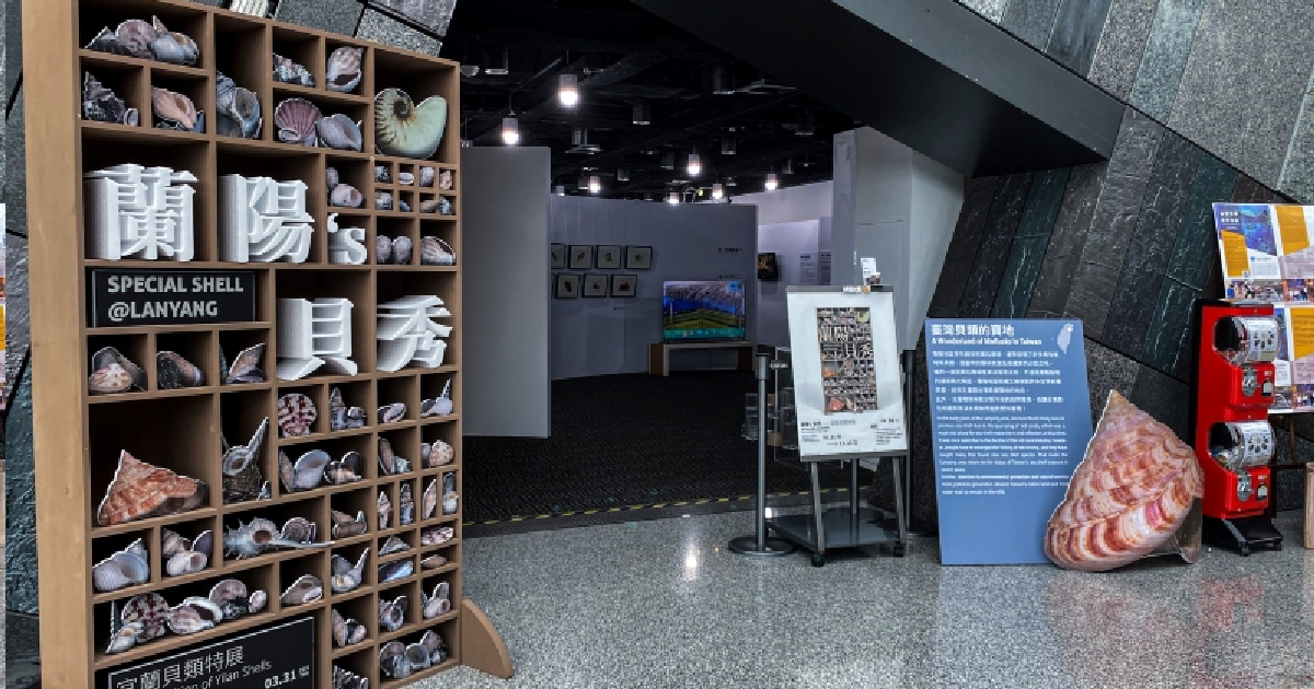 藍訊科技執行「蘭陽博物館貝類特展」多媒體互動方案 AR互動拍照