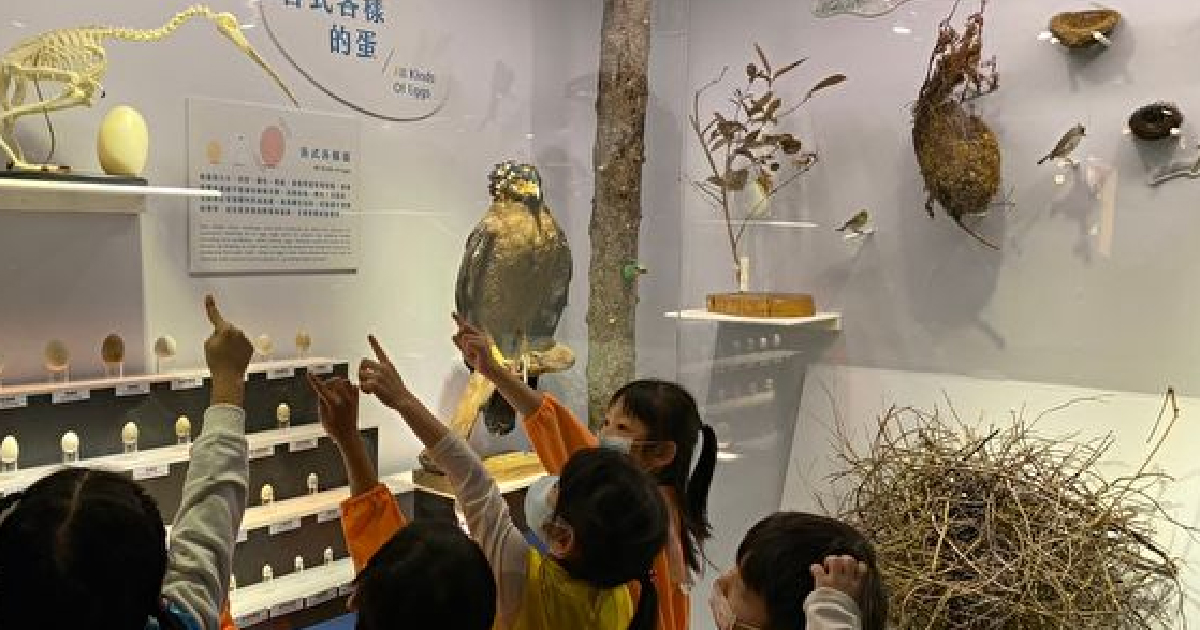 藍訊科技執行 國立海洋科技博物館-海有個鳥地方特展 多媒體互動遊戲 展場互動科技