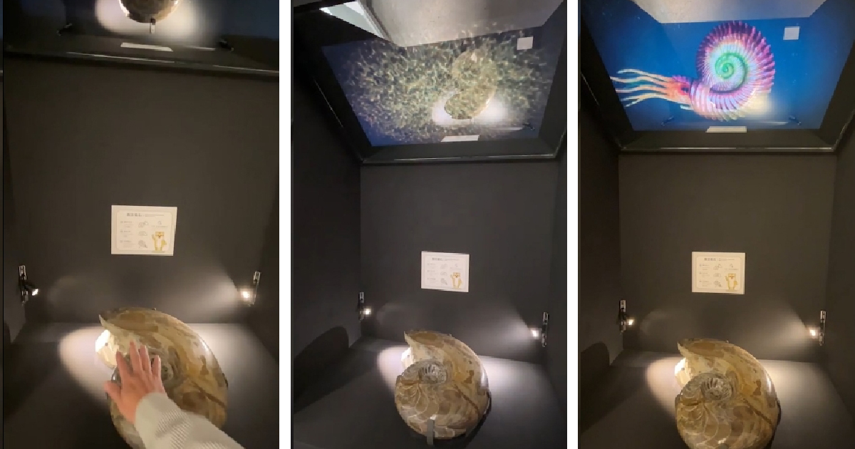 Newtalk新聞報導 恐龍添新夥伴 台博館古生物館更新後重新開館(藍訊科技執行多媒體互動裝置) 