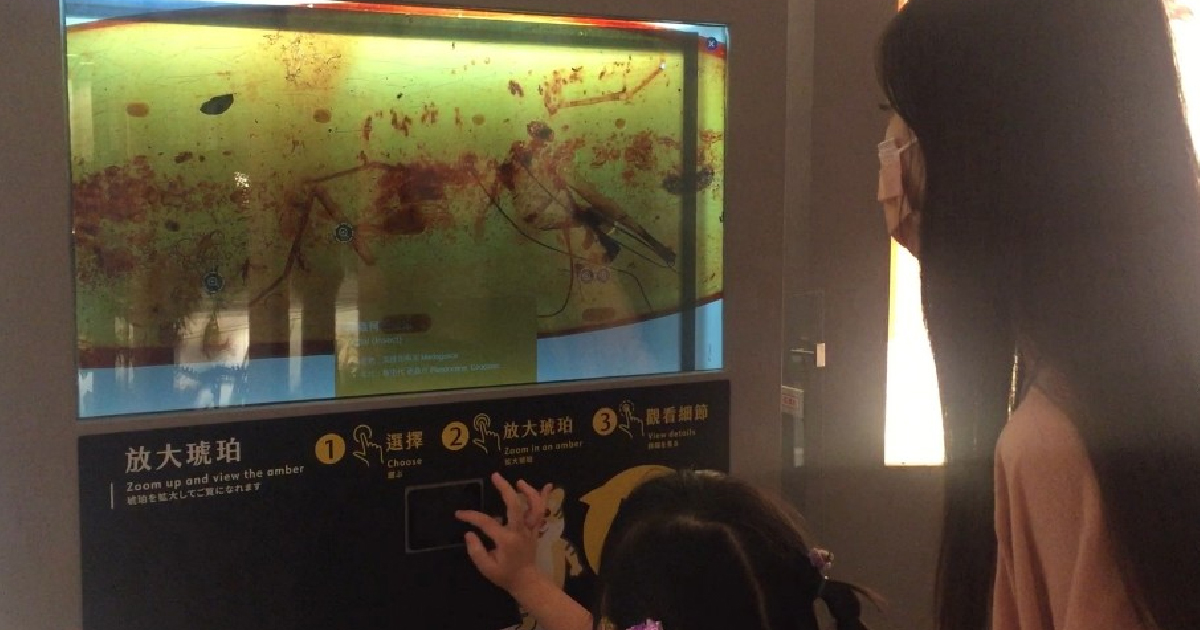 藍訊科技執行 國立臺灣博物館 古生物大展【透明顯示器x琥珀高倍率顯微圖像】超越顯微鏡的視覺互動體驗