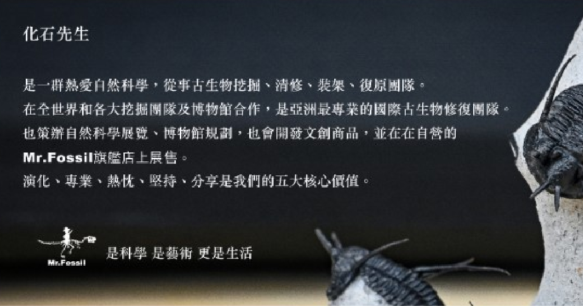 化石先生_形象官方網站架設&購物車