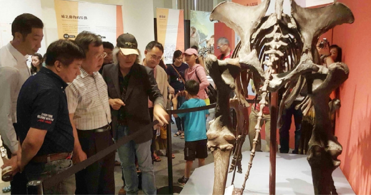 史前巨獸古生物化石 澎湖首展驚奇_與化石先生攜手合作