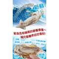 老爸廚房深海魷魚_1