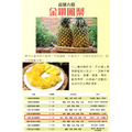 阿成-高雄大樹金鑽鳳梨