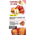 阿成-美國華盛頓富士蘋果_1