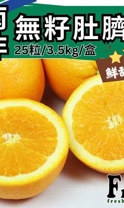 阿成-南非無籽肚臍丁