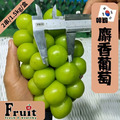 阿成-韓國麝香葡萄_1